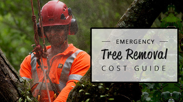 emergency tree removal cost guide
