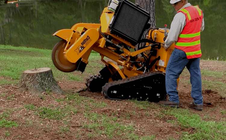 Finding a good stump grinding service professional