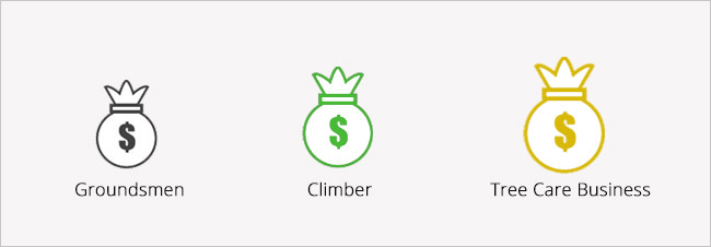 how much arborist earn infographics web