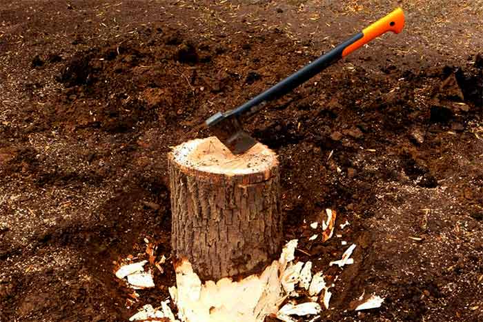 How to save on tree and stump removal remove trump by yourself