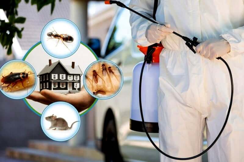 Is monthly pest control necessary