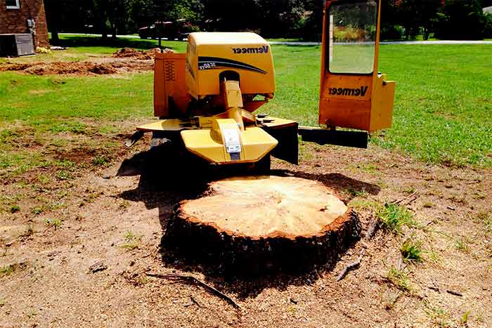 Is stump removal included in the price of tree removal tractor tree removal