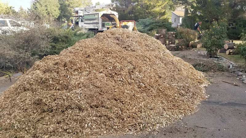 pile of mulch