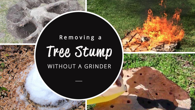 removing a tree stump without a stump grinder