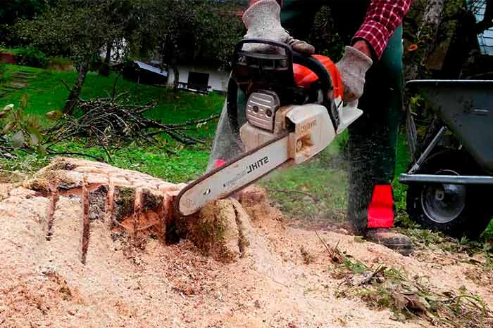 Tree and stump removal cost worker removes stump