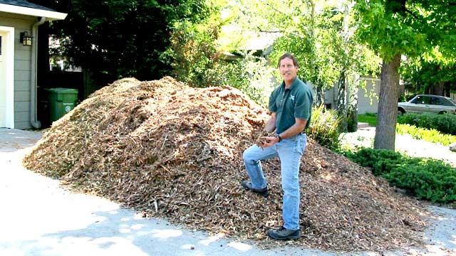 tree mulch pile in drivways