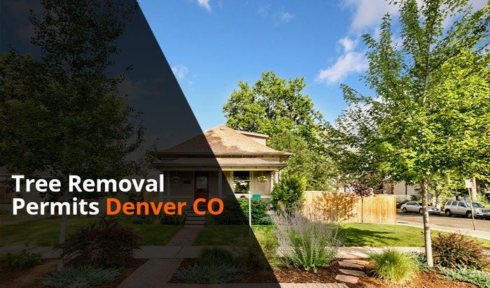 Tree removal permit Denver