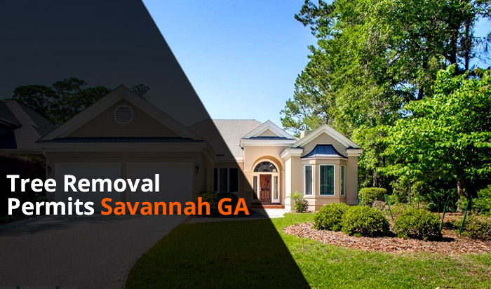 Tree removal permit Savannah v1