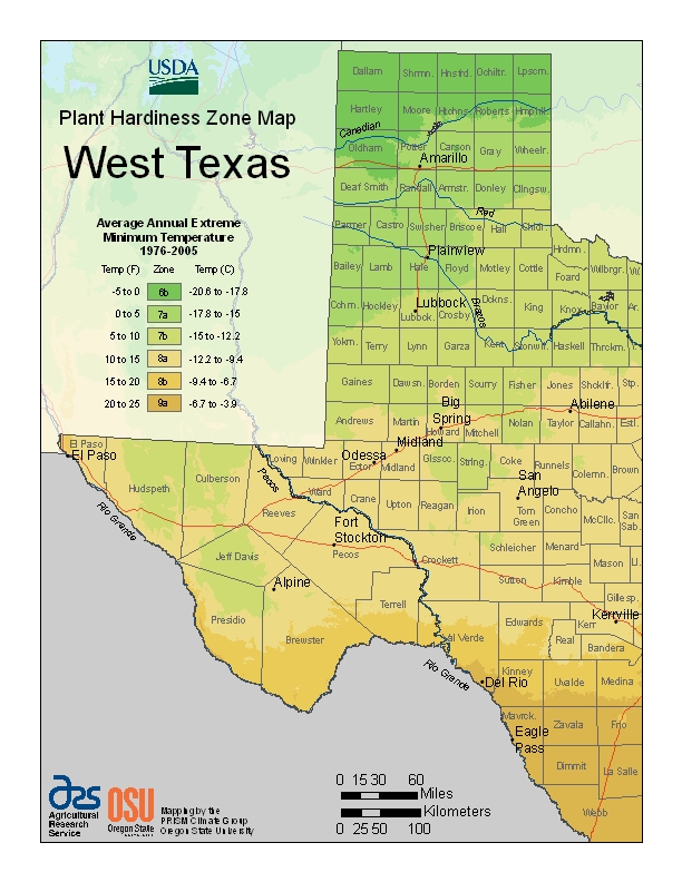 Hardiness Texas West Map Image