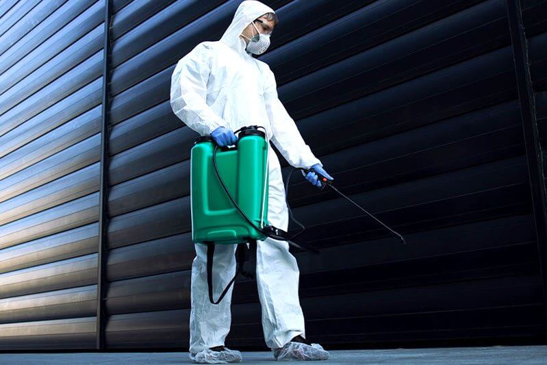 Who Is Responsible for Pest Control in a Commercial Rental Property