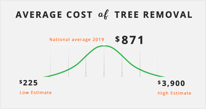average cost of tree removal4