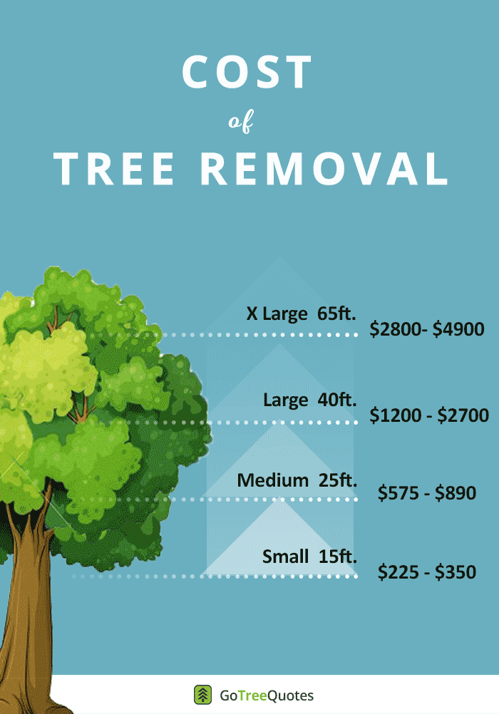 cost of tree removal quick infographic