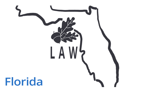 florida map oak tree laws vector image