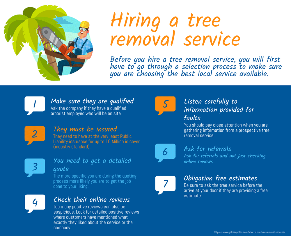 Hiring a tree removal services infographic