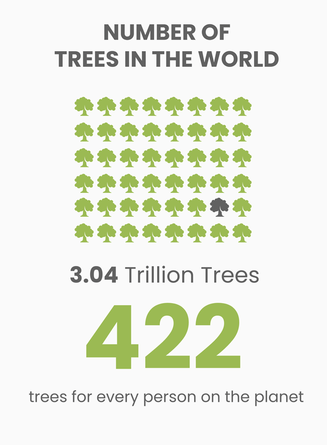 how many trees are there in the world infographic2