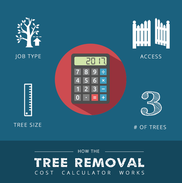 how the tree removal cost calculator works1