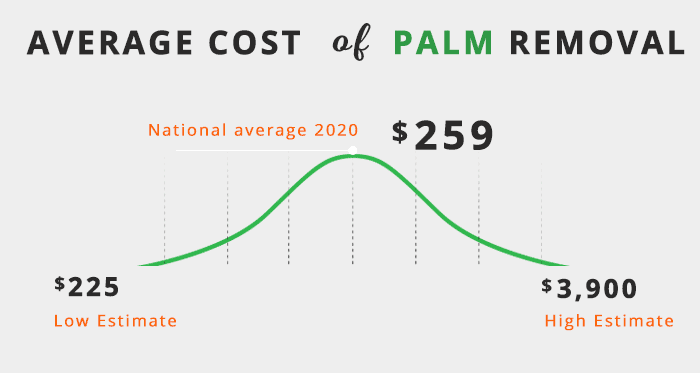 palm removal average cost 2020