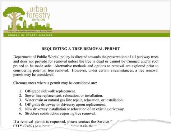 tree removal permit example